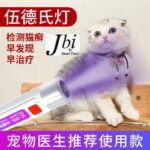 Handheld LED Money Detector